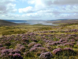 Llyn Brenig Reservoir