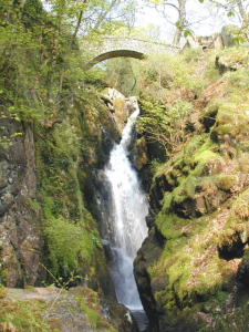 Aira Force