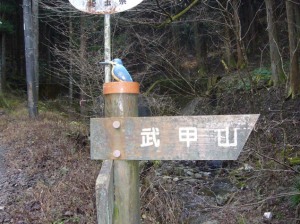 秩父/武甲山