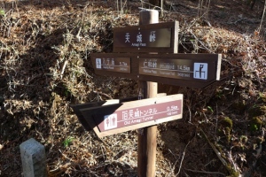 伊豆天城峠
