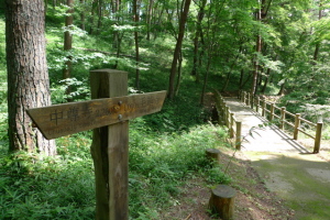 平泉散策路